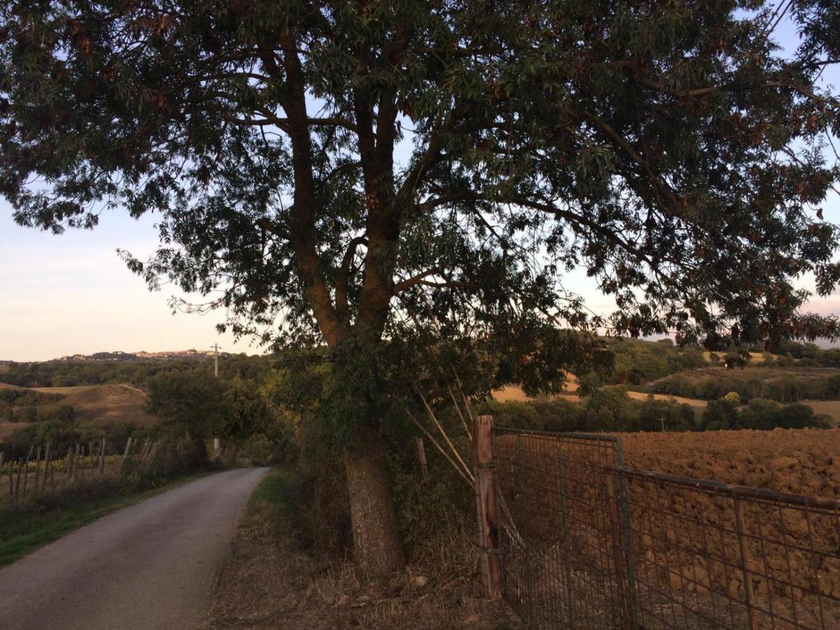 CampagnaticoTenuta Santa Maria别墅 外观 照片