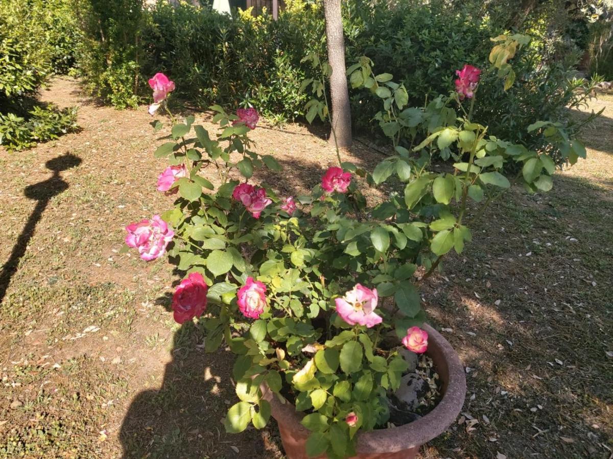 CampagnaticoTenuta Santa Maria别墅 外观 照片