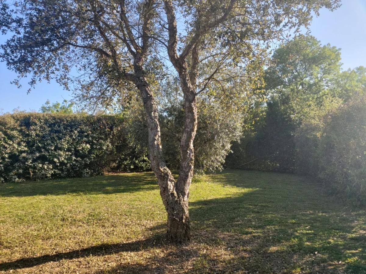 CampagnaticoTenuta Santa Maria别墅 外观 照片