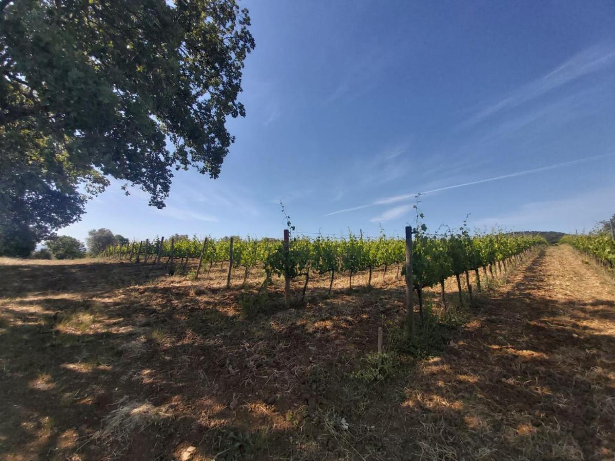 CampagnaticoTenuta Santa Maria别墅 外观 照片